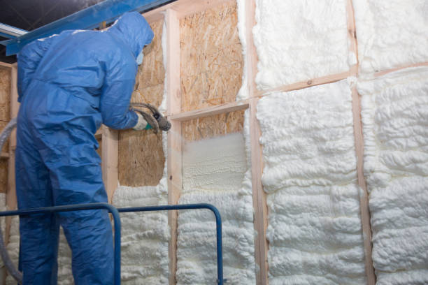 Best Reflective Insulation  in Oak Point, TX